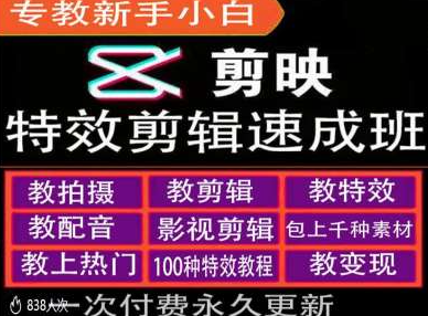 剪映特效教程和运营变现教程,特效剪辑速成班,专教新手小白-阳知网创资源库