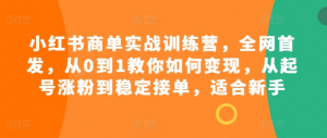 小红书商单实战训练营,全网首发,从0到1教你如何变现,从起号涨粉到稳定接单,适合新手-阳知网创资源库