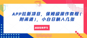 APP拉新项目,保姆级操作教程(附渠道),小白日躺入几张【揭秘】-阳知网创资源库