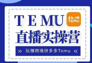 Temu直播实战营,玩赚跨境拼多多Temu,国内电商卷就出海赚美金-阳知网创资源库