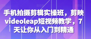 手机拍摄剪辑实操班,剪映videoleap短视频教学,7天让你从入门到精通-阳知网创资源库