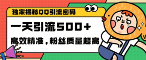 独家解密QQ里的引流密码,高效精准,实测单日加100+创业粉【揭秘】-阳知网创资源库