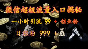 微信超级流量入口揭秘:一小时引流 99 + 创业粉,日涨粉 999 +-阳知网创资源库