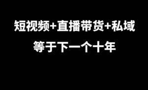 短视频+直播带货+私域等于下一个十年,大佬7年实战经验总结-阳知网创资源库