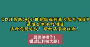 12月最新QQ小世界短视频暴力起号项目,最适合新手的项目,多种变现方式-阳知网创资源库