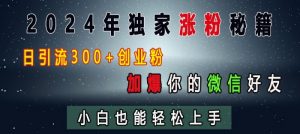 2024年独家涨粉秘籍,日引流300+创业粉,加爆你的微信好友,小白也能轻松上手-阳知网创资源库