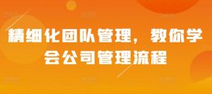 精细化团队管理,教你学会公司管理流程-阳知网创资源库