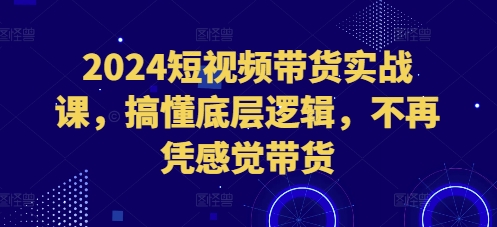 2024短视频带货实战课,搞懂底层逻辑,不再凭感觉带货-阳知网创资源库