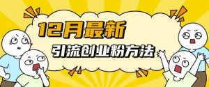 12月最新引流创业粉方法，方法非常简单，适用于多平台-阳知网创资源库