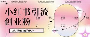 小红书私域引流无脑操作法:AI生成内容,粉丝自动转化,新手轻松日引500+创业粉-阳知网创资源库