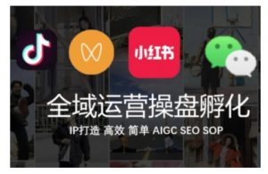 全域运营操盘(抖音+私域+小红书),IP打造高效简单-阳知网创资源库