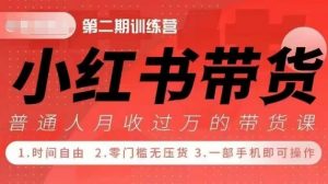 小Red书带货42天训练营 2.0版，宝妈+自由职+上班族+大学生，提高副业收入的大红利项目-阳知网创资源库