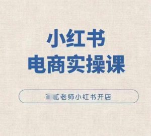 小红薯电商实操课,小红书开店实操必学课-阳知网创资源库