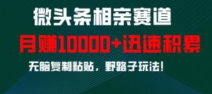 微头条相亲赛道，迅速积累，无脑复制粘贴，野路子玩法，月入1w-阳知网创资源库