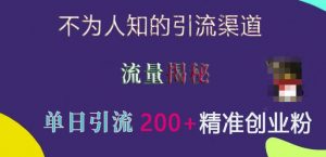 不为人知的引流渠道,流量揭秘,实测单日引流200+精准创业粉【揭秘】-阳知网创资源库