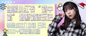 最新小红书截流玩法 独家截中截 单号成本几块钱 日引500+CY粉JZ粉-阳知网创资源库