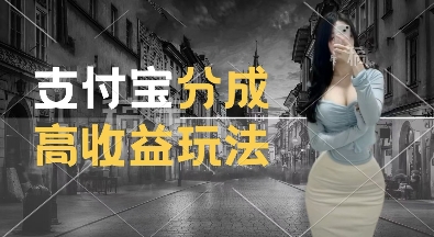 支付宝分成计划新玩法,利用交通事故视频,赚收益,轻松月入过W,操作简单【揭秘】-阳知网创资源库