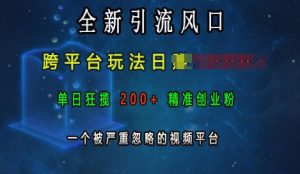 全新引流风口,跨平台玩法日入上k,单日狂揽200+精准创业粉,一个被严重忽略的视频平台-阳知网创资源库