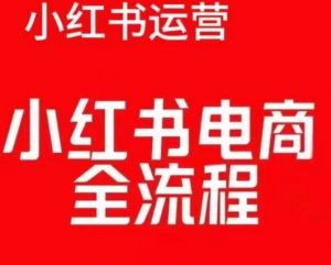 红薯电商实操课,小红书电商全流程-阳知网创资源库