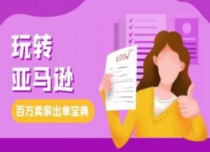 教你玩转亚马逊,跨境电商亚马逊教程,百万卖家出单宝典-阳知网创资源库