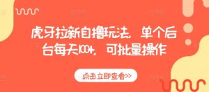 虎牙拉新自撸玩法，单个后台每天100+，可批量操作-阳知网创资源库