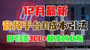 12月最新:音频平台0成本引流,日引流300+精准创业粉-阳知网创资源库
