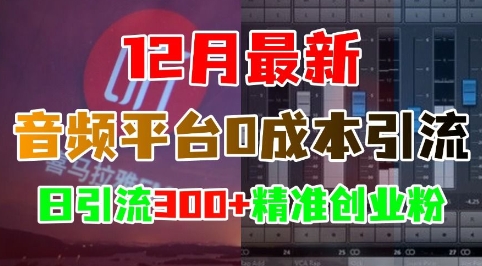12月最新:音频平台0成本引流,日引流300+精准创业粉-阳知网创资源库