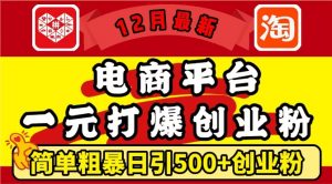 12月最新:电商平台1元打爆创业粉,简单粗暴日引500+精准创业粉,轻松月入过W【揭秘】-阳知网创资源库