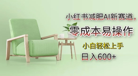 小红书减肥AI新赛道,零成本易操作,日入多张,小白轻松上手【揭秘】-阳知网创资源库