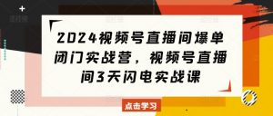 2024视频号直播间爆单闭门实战营,视频号直播间3天闪电实战课-阳知网创资源库