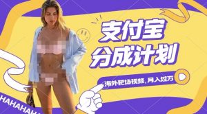 利用海外靶场射击视频，挣支付宝分成收益，轻松月入过W【揭秘】-阳知网创资源库