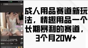成人用品赛道新玩法,情趣用品一个长期暴利的赛道,3个月收益20个【揭秘】-阳知网创资源库