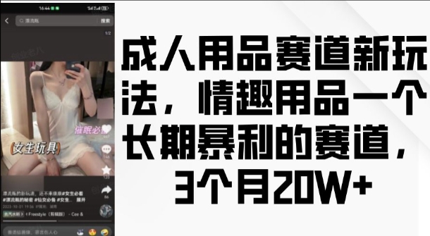 成人用品赛道新玩法,情趣用品一个长期暴利的赛道,3个月收益20个【揭秘】-阳知网创资源库