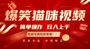 爆笑猫咪视频:简单操作,日入过K,视频号搞钱新策略【揭秘】-阳知网创资源库