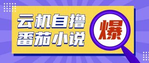 首发云手机自撸小说玩法，10块钱成本可撸200+收益操作简单【揭秘】-阳知网创资源库
