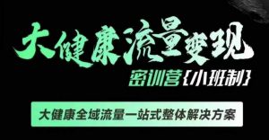 千万级大健康变现课线下课，大健康全域流量一站式整体解决方案-阳知网创资源库