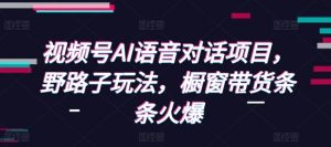 视频号AI语音对话项目,野路子玩法,橱窗带货条条火爆-阳知网创资源库