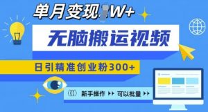 无脑搬运视频号可批量复制,新手即可操作,日引精准创业粉300+,月变现过W 【揭秘】-阳知网创资源库