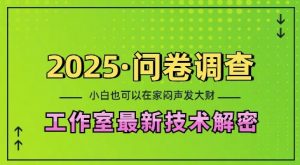 2025问卷调查最新工作室技术解密:一个人在家也可以闷声发大财,小白一天2张,可矩阵放大【揭秘】-阳知网创资源库