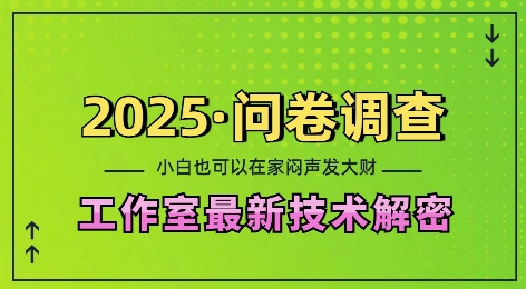 2025问卷调查最新工作室技术解密:一个人在家也可以闷声发大财,小白一天2张,可矩阵放大【揭秘】-阳知网创资源库