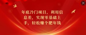 年底冷门项目,利用信息差,实现零基础上手,轻松赚个肥年钱【揭秘】-阳知网创资源库