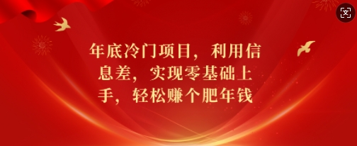年底冷门项目，利用信息差，实现零基础上手，轻松赚个肥年钱【揭秘】-阳知网创资源库