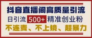 抖音直播间引流创业粉,无需连麦、不用上镜、超暴力,日引流500+高质量精准创业粉-阳知网创资源库