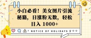 小白必看,美女图片引流秘籍,日涨粉无数,轻松日入几张【揭秘】-阳知网创资源库