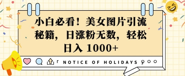 小白必看,美女图片引流秘籍,日涨粉无数,轻松日入几张【揭秘】-阳知网创资源库