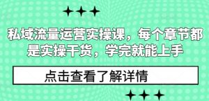 私域流量运营实操课,每个章节都是实操干货,学完就能上手-阳知网创资源库