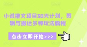 小说推文项目38天计划,剪辑与搬运多种玩法教程-阳知网创资源库