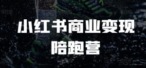 小红书商业变现陪跑营,小红书电商教程-阳知网创资源库