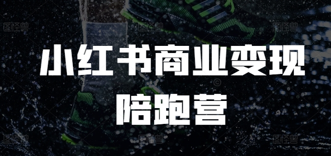 小红书商业变现陪跑营,小红书电商教程-阳知网创资源库