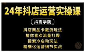 抖音小店运营实操课:抖店商品卡截流玩法,猜你喜欢流量打爆,搜索冷启动玩法,精细化运营细节实战-阳知网创资源库